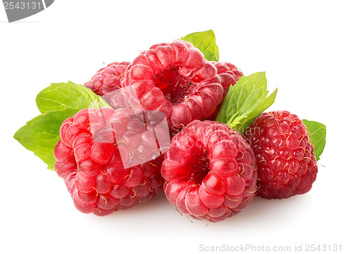 Image of Juicy raspberry