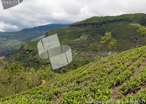 Image of Mountainous terrain of Sri Lanka