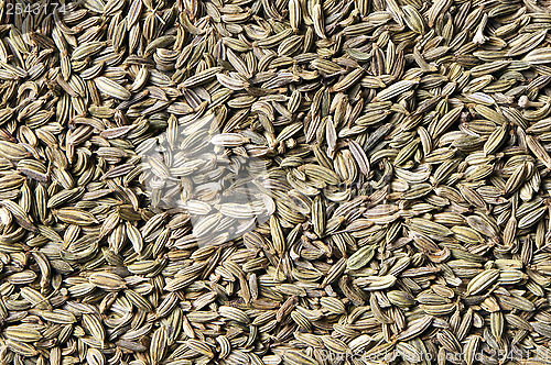 Image of Fennel seeds