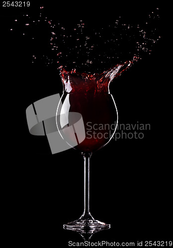 Image of Splashing wine