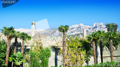 Image of Park with palm trees