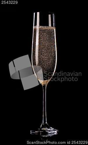 Image of Champagne on black background