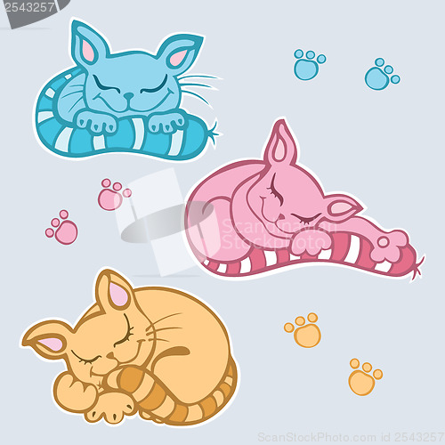 Image of Sleeping cats.