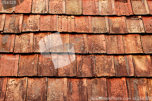 Image of roof top