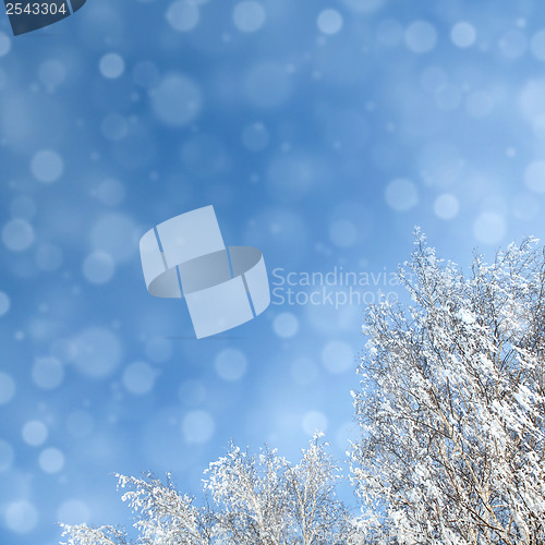 Image of winter background with snowfal and trees