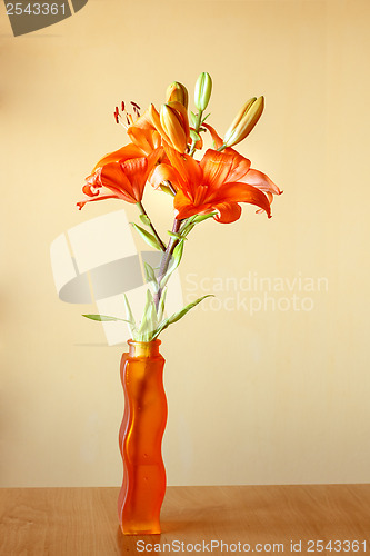 Image of flowering orange lily indoor