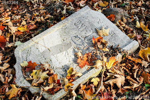 Image of damaged tomb in forgotten and unkempt Jewish cemetery