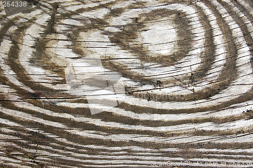 Image of Wood texture