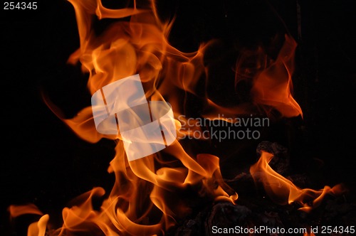 Image of Fire