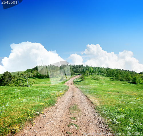 Image of Country road to the forest