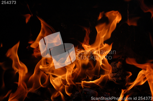 Image of Fire