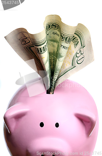 Image of Stuffed piggy bank with US dollars