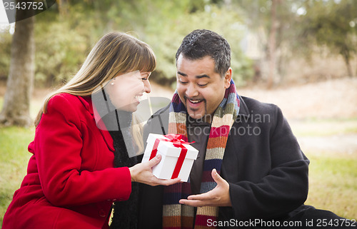 Image of Mixed Race Couple Sharing Christmas or Valentines Day Gift Outsi