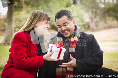 Image of Mixed Race Couple Sharing Christmas or Valentines Day Gift Outsi