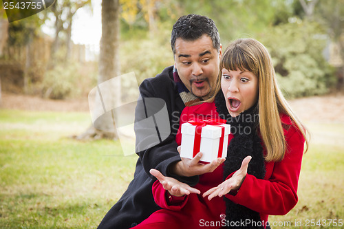 Image of Mixed Race Couple Sharing Christmas or Valentines Day Gift Outsi