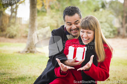 Image of Mixed Race Couple Sharing Christmas or Valentines Day Gift Outsi
