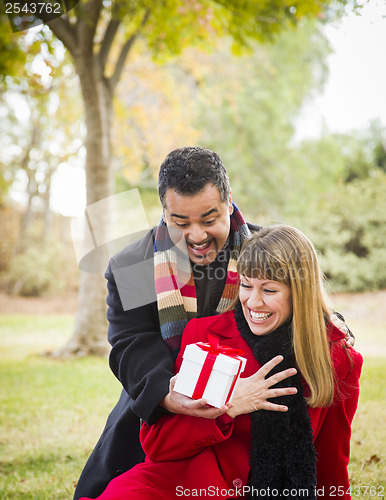 Image of Mixed Race Couple Sharing Christmas or Valentines Day Gift Outsi