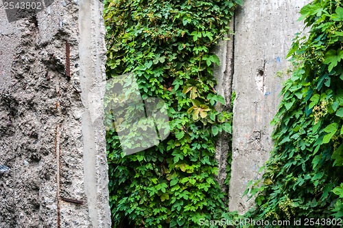 Image of Berlin Wall Memorial