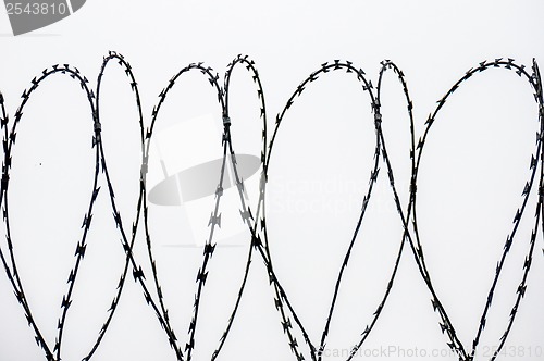 Image of Barbed wire