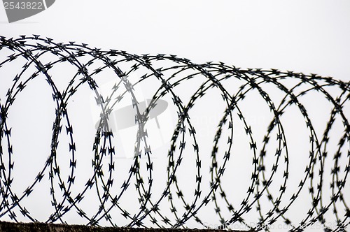 Image of Barbed wire