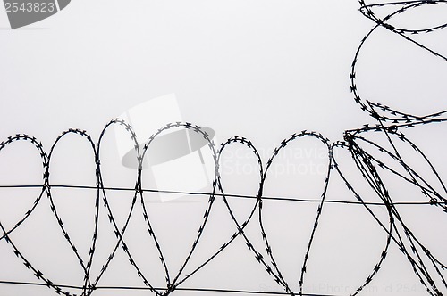 Image of Barbed wire