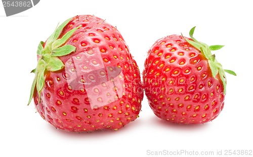 Image of Strawberry