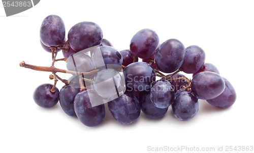 Image of Grapes