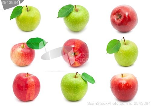 Image of Apples