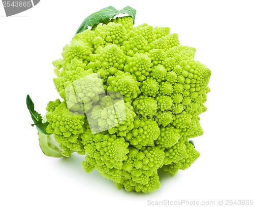 Image of Romanesco broccoli