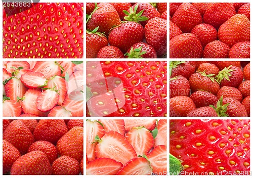 Image of Strawberry