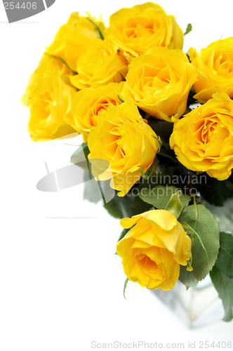 Image of Yellow roses