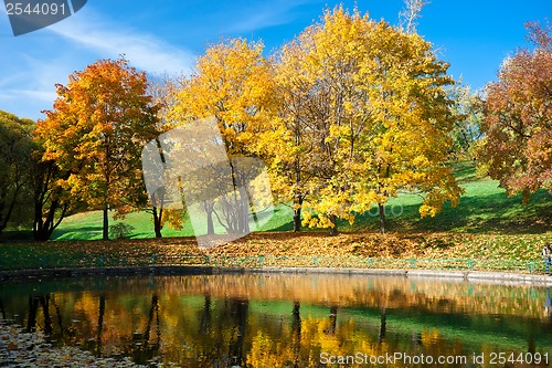 Image of Autumn