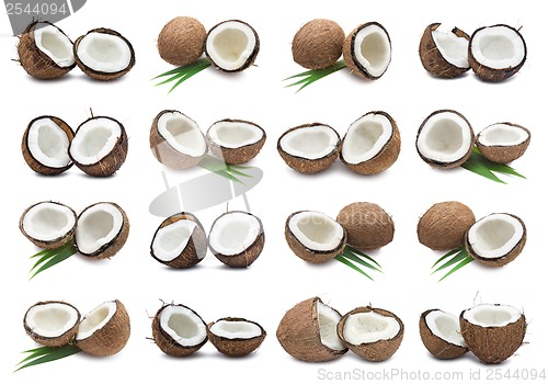 Image of Coconuts