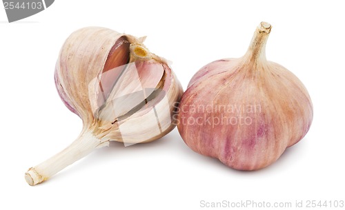 Image of Garlic