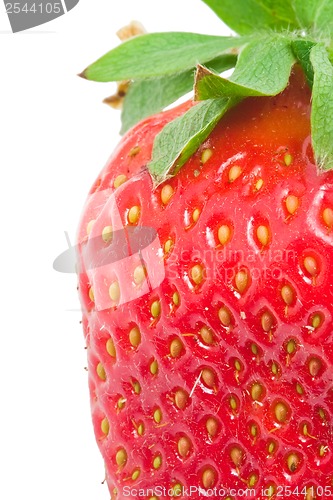 Image of Strawberry