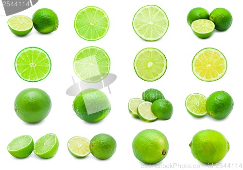 Image of Lime