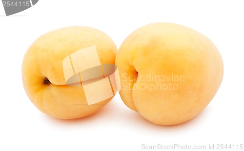 Image of Apricot