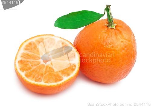 Image of Tangerines