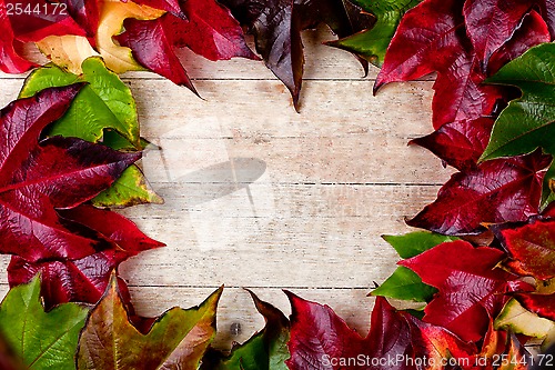 Image of  frame of autumn leaves