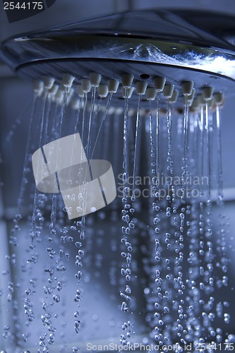 Image of shower jet