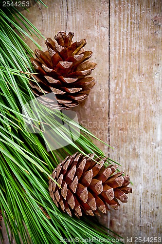 Image of christmas fir tree with pinecones 