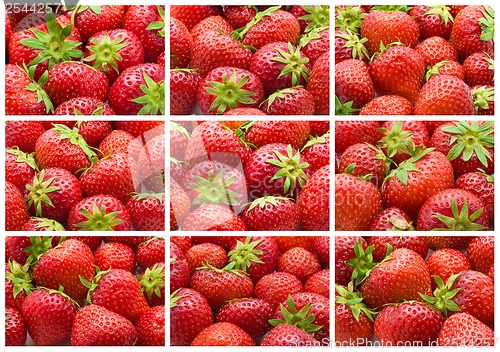 Image of Strawberry