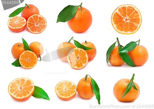 Image of Mandarins