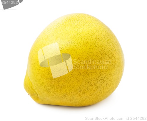 Image of Pomelo