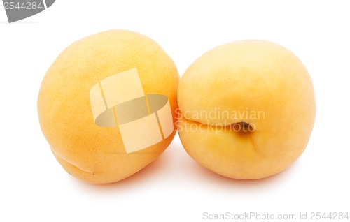 Image of Apricots