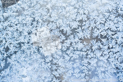 Image of Frost pattern