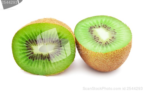 Image of Kiwi