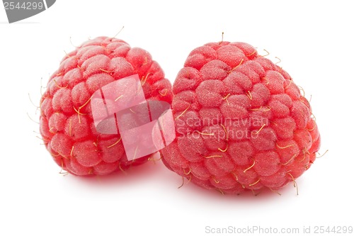 Image of Fresh raspberries