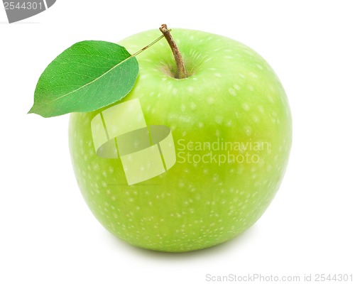 Image of Apple