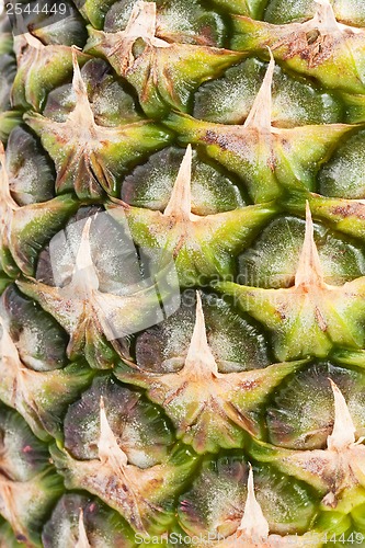 Image of Pineapple